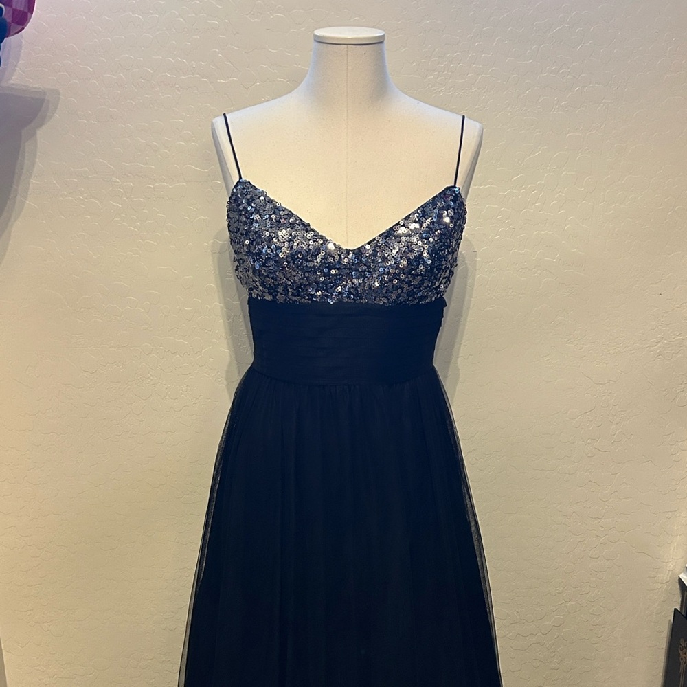 Adrianna Papell Black and Silver Sequin Maxi Dress